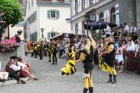 IMG_6164 (2) 